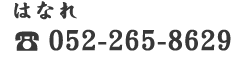 052-265-8629