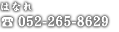 052-265-8629